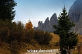 wbgarden alps 96